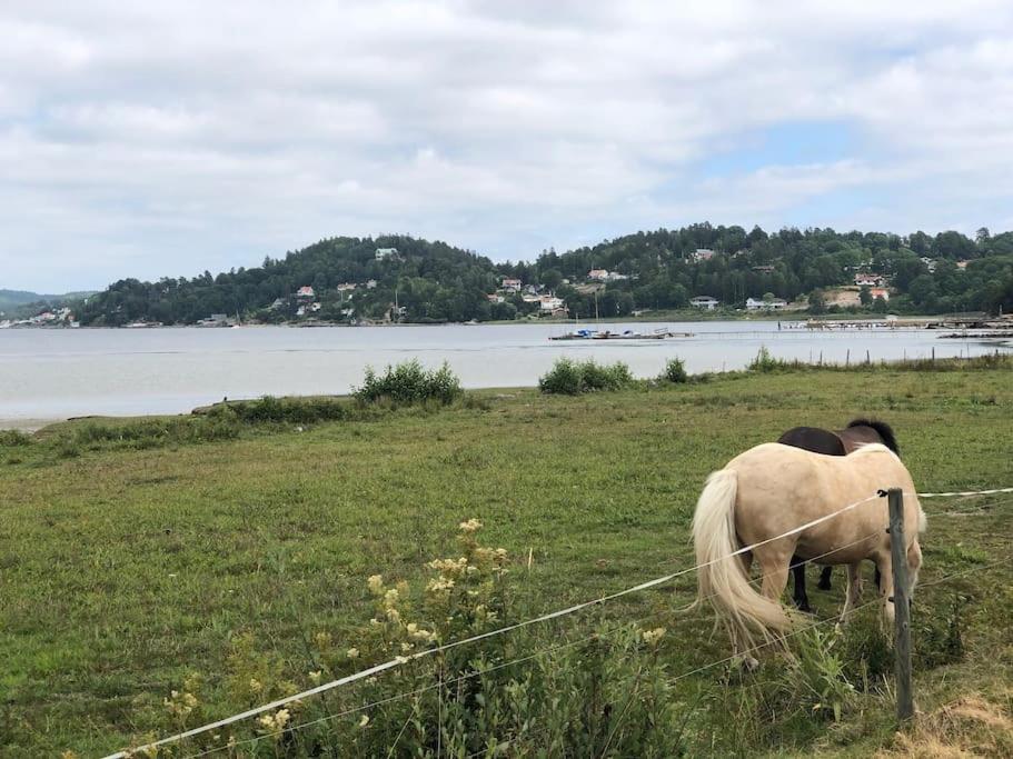 Apartment Right Next To The Golf Course And With The Ocean Just Around The Corner Ljungskile Eksteriør bilde